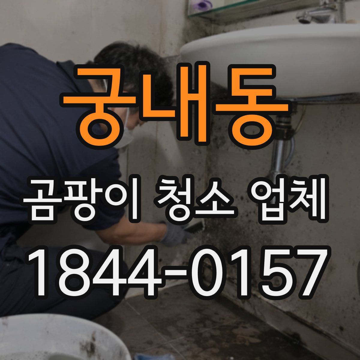 궁내동 곰팡이 청소 업체