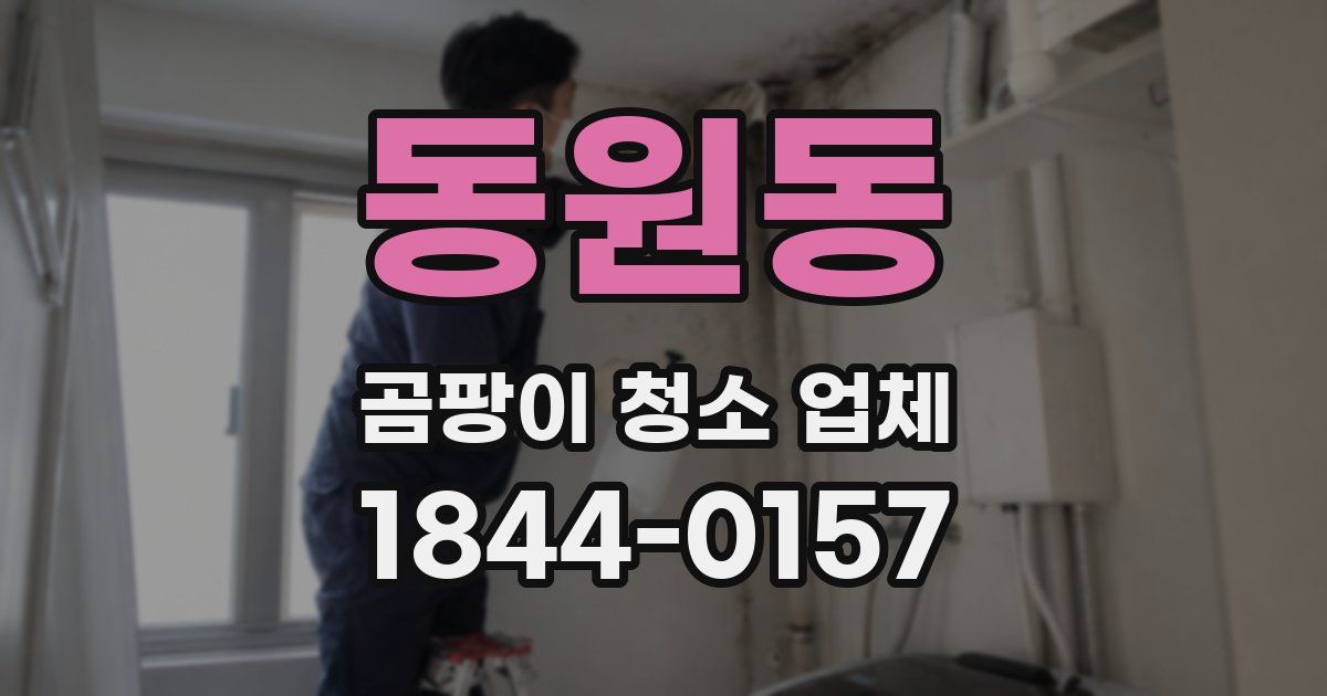 동원동 곰팡이 청소 업체