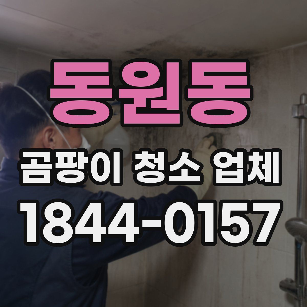 동원동 곰팡이 청소 업체