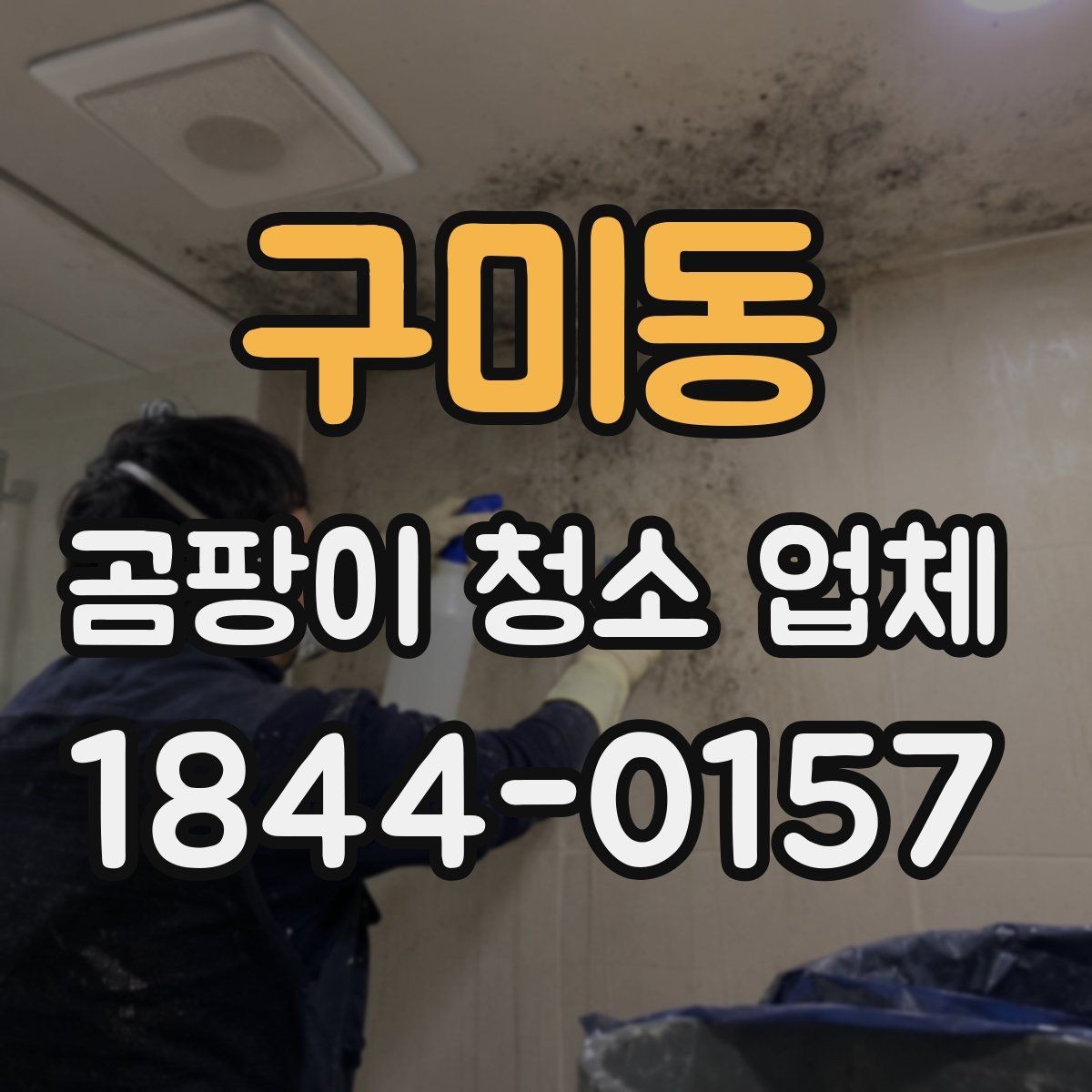 구미동 곰팡이 청소 업체 실내 공기질 회복을 위한 사후 점검 포인트