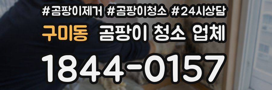 구미동 곰팡이 청소 업체