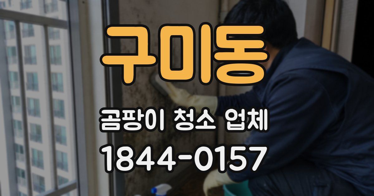 구미동 곰팡이 청소 업체