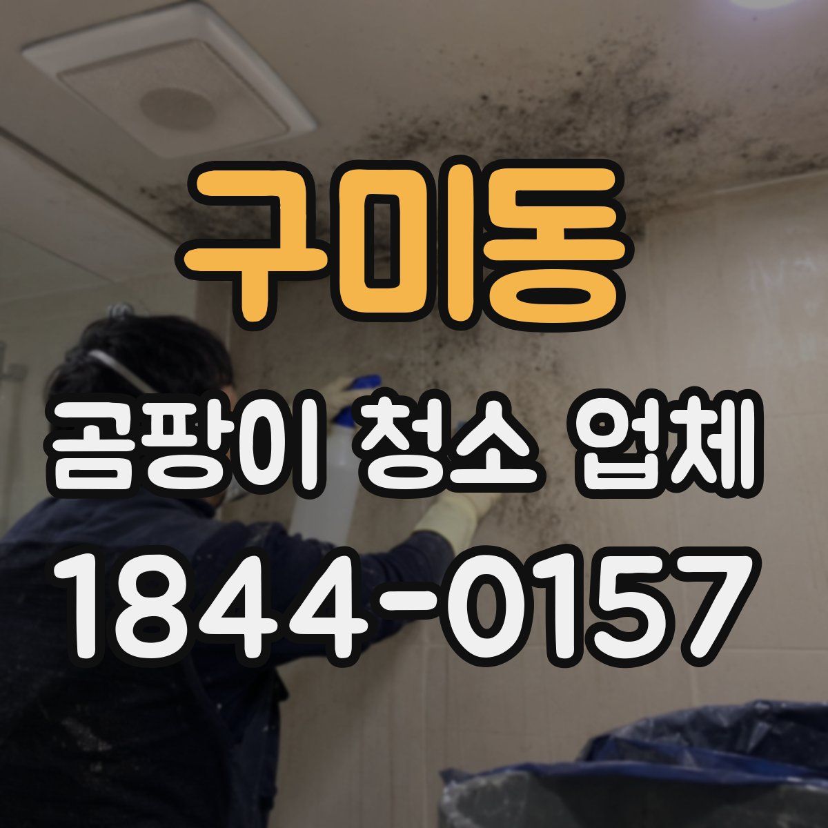 구미동 곰팡이 청소 업체