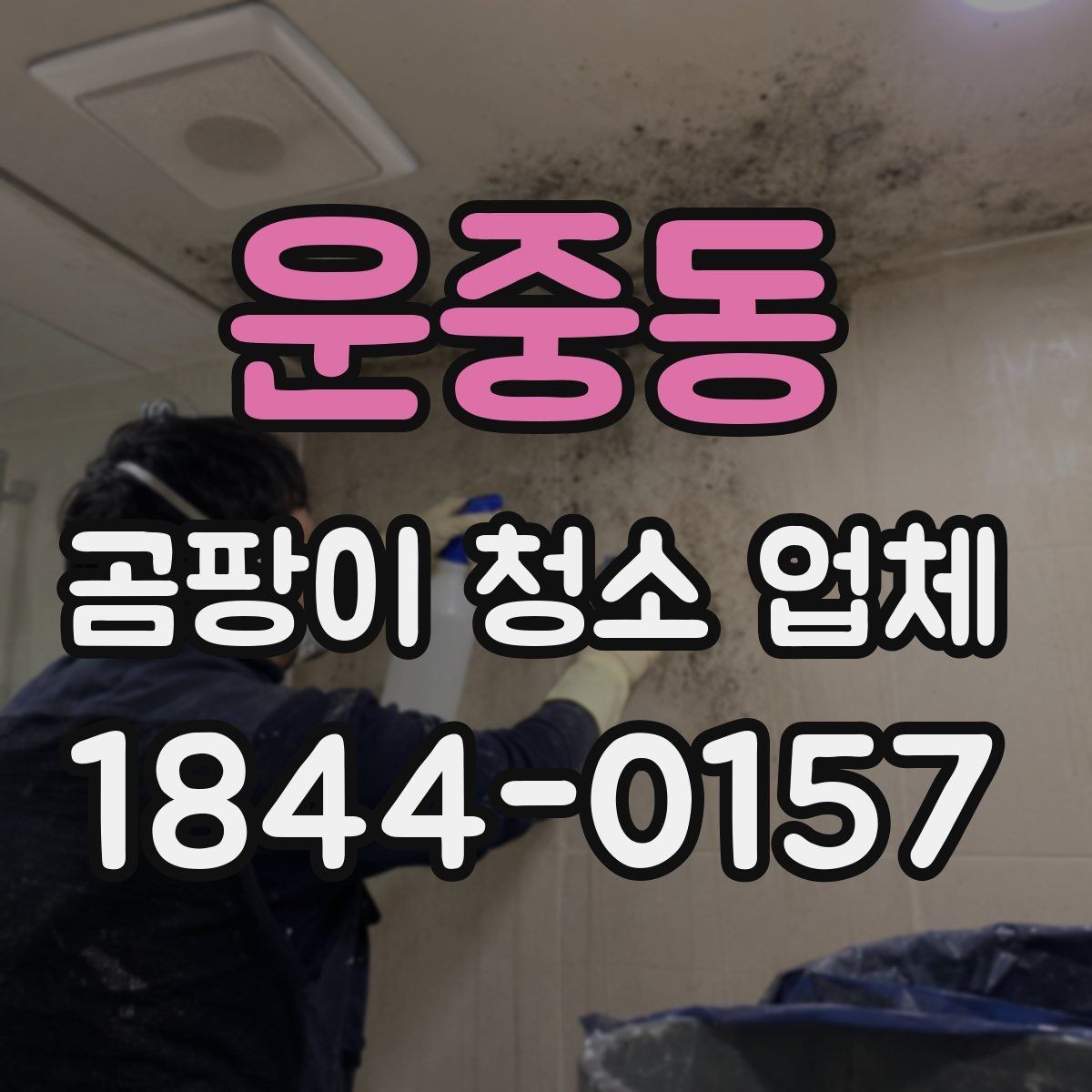 운중동 곰팡이 청소 업체 부분 작업과 전체 작업을 나누는 판단