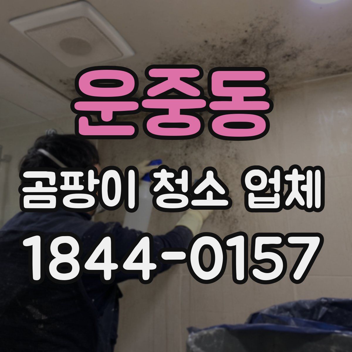 운중동 곰팡이 청소 업체
