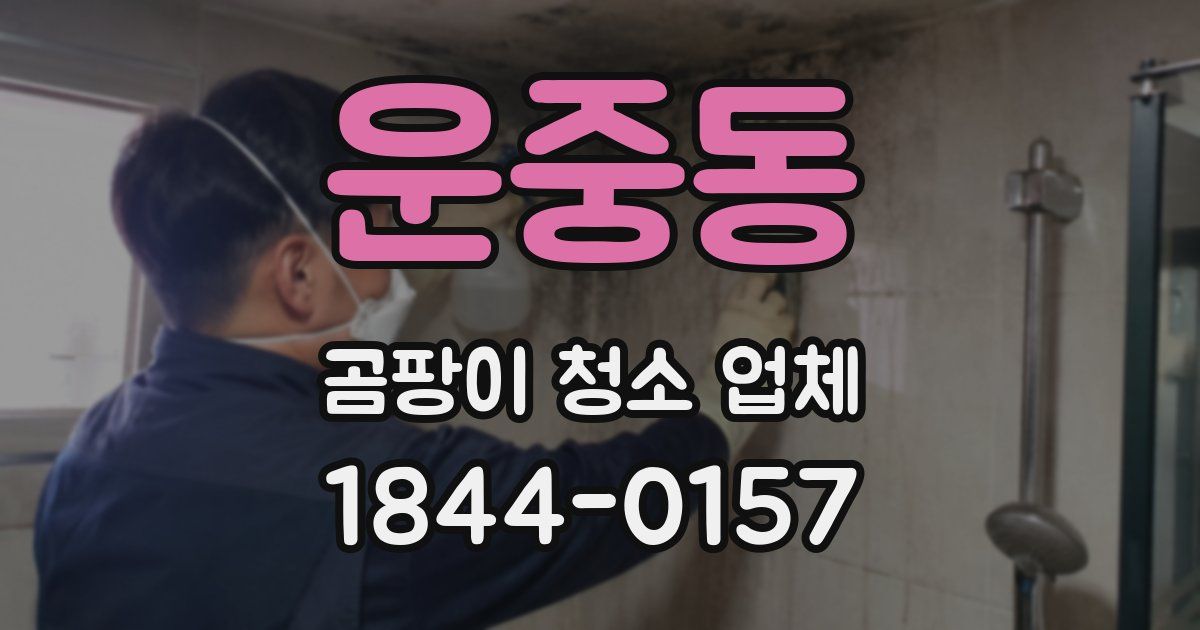 운중동 곰팡이 청소 업체