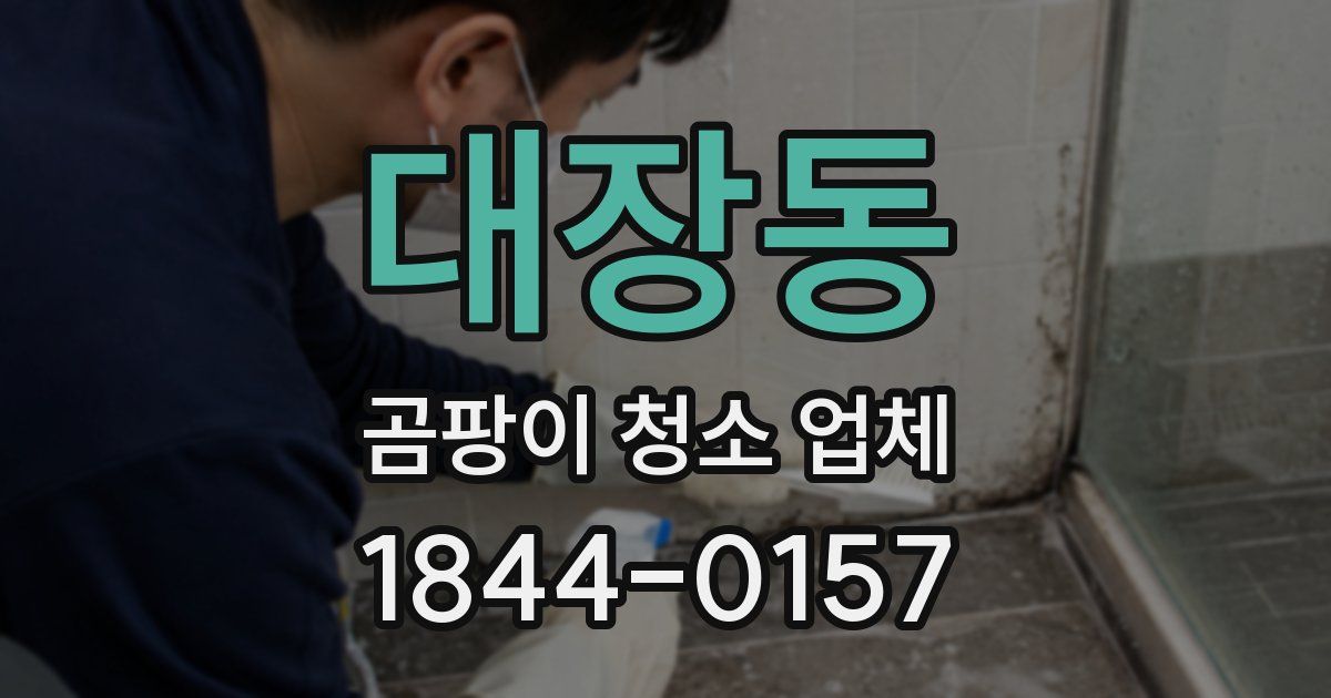대장동 곰팡이 청소 업체