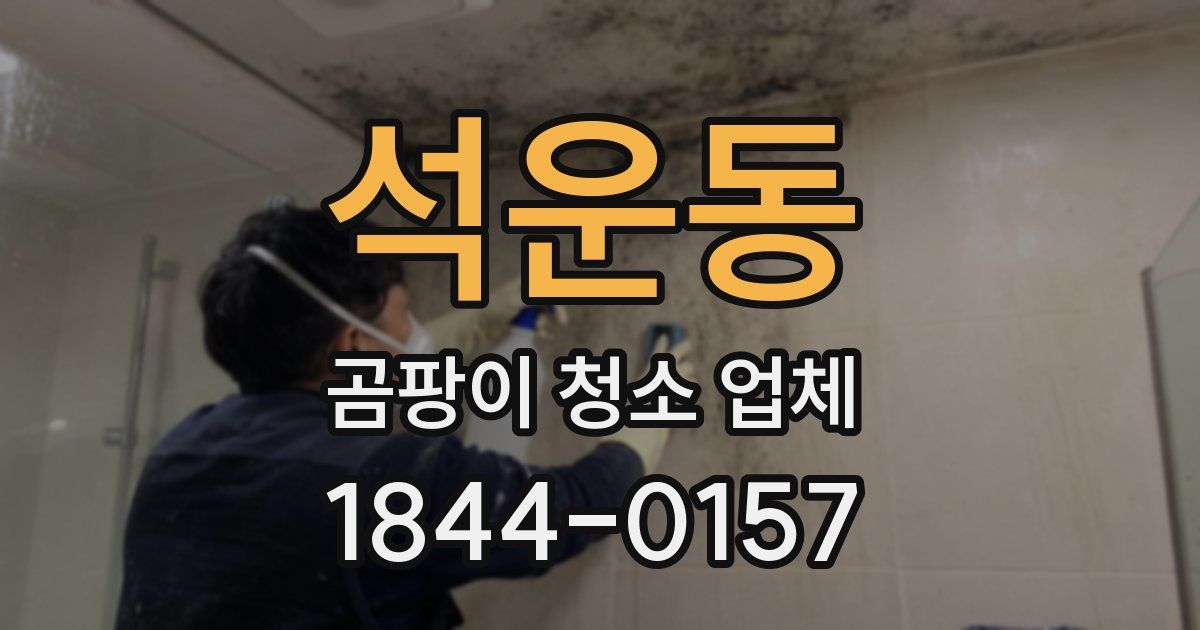 석운동 곰팡이 청소 업체