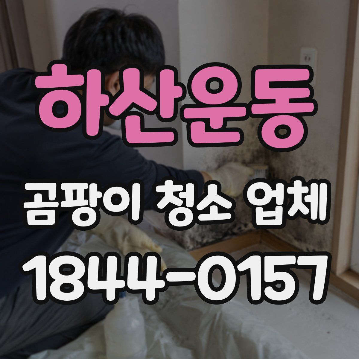 하산운동 곰팡이 청소 업체