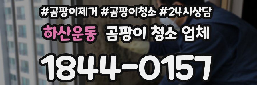하산운동 곰팡이 청소 업체