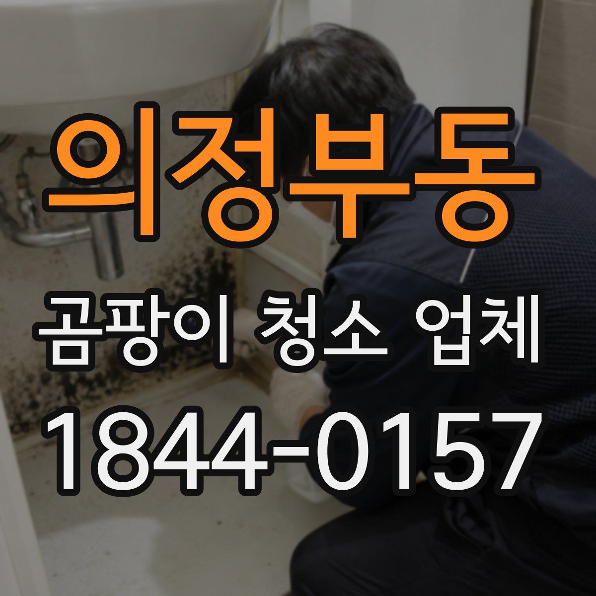 의정부동 곰팡이 청소 업체