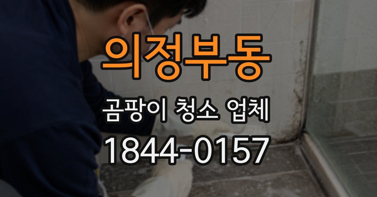 의정부동 곰팡이 청소 업체