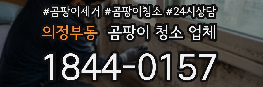 의정부동 곰팡이 청소 업체