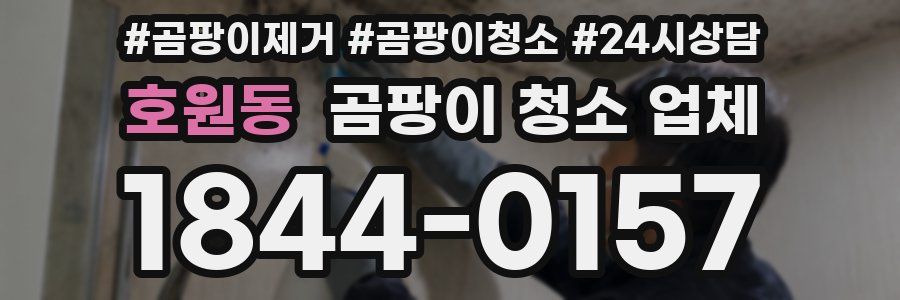 호원동 곰팡이 청소 업체