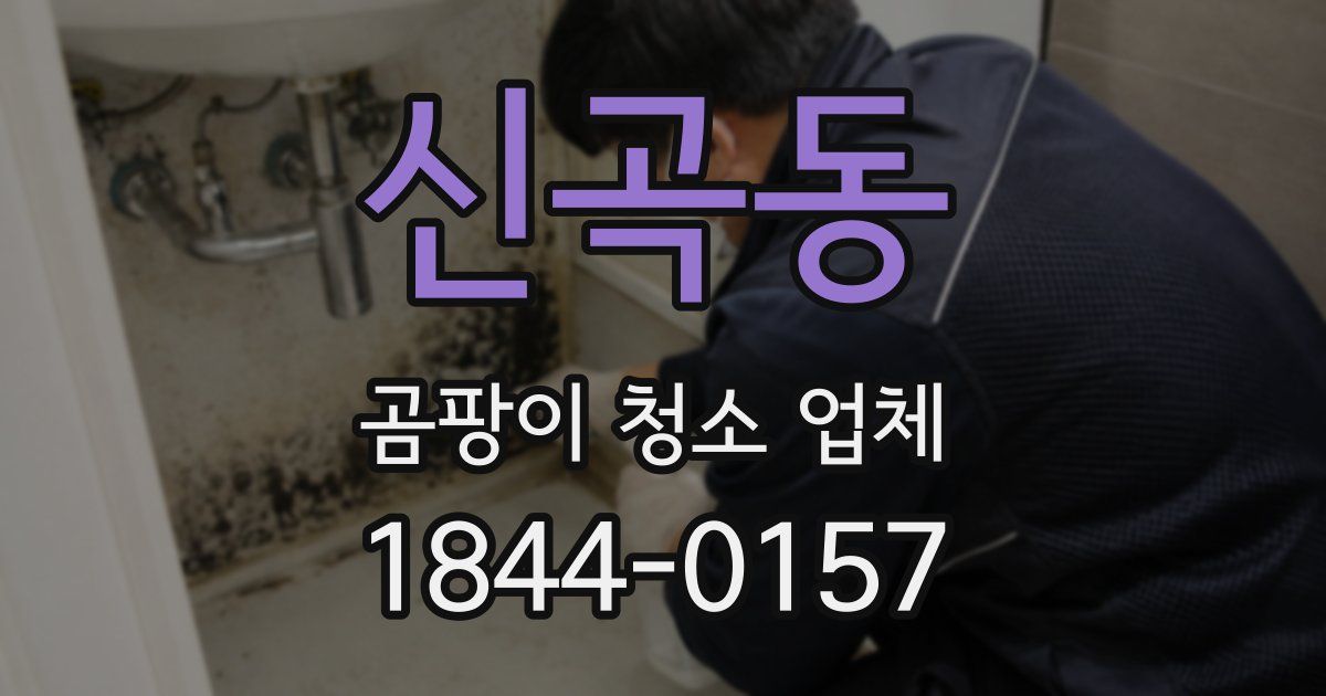 신곡동 곰팡이 청소 업체