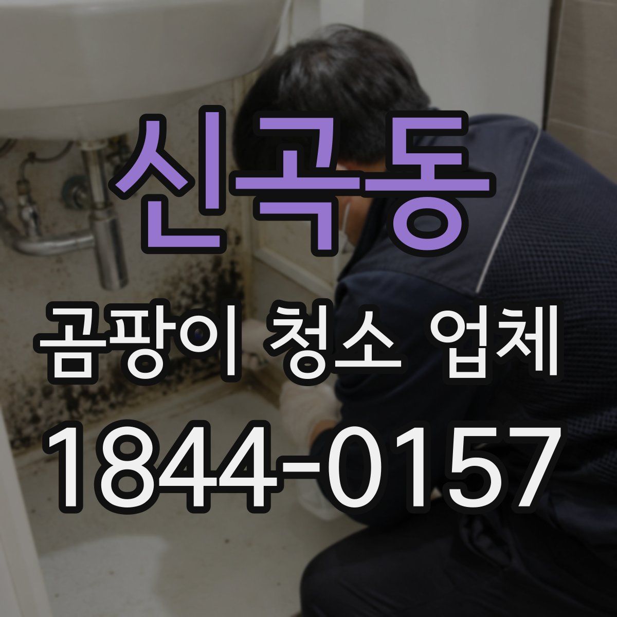 신곡동 곰팡이 청소 업체