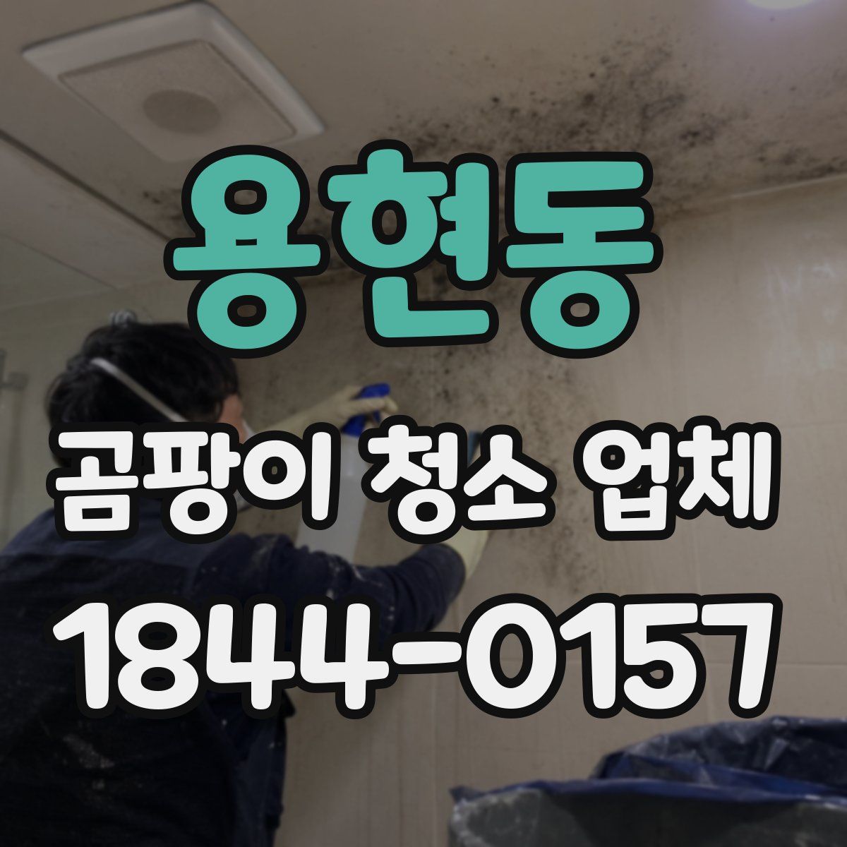 용현동 곰팡이 청소 업체