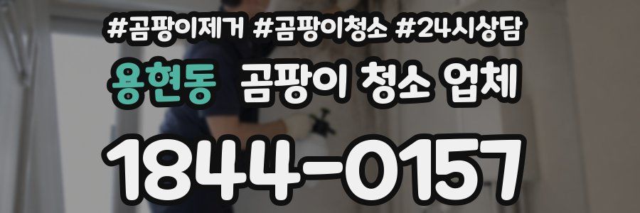 용현동 곰팡이 청소 업체