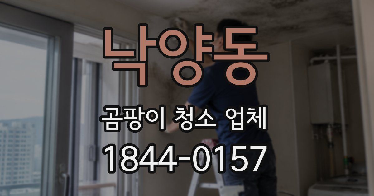 낙양동 곰팡이 청소 업체