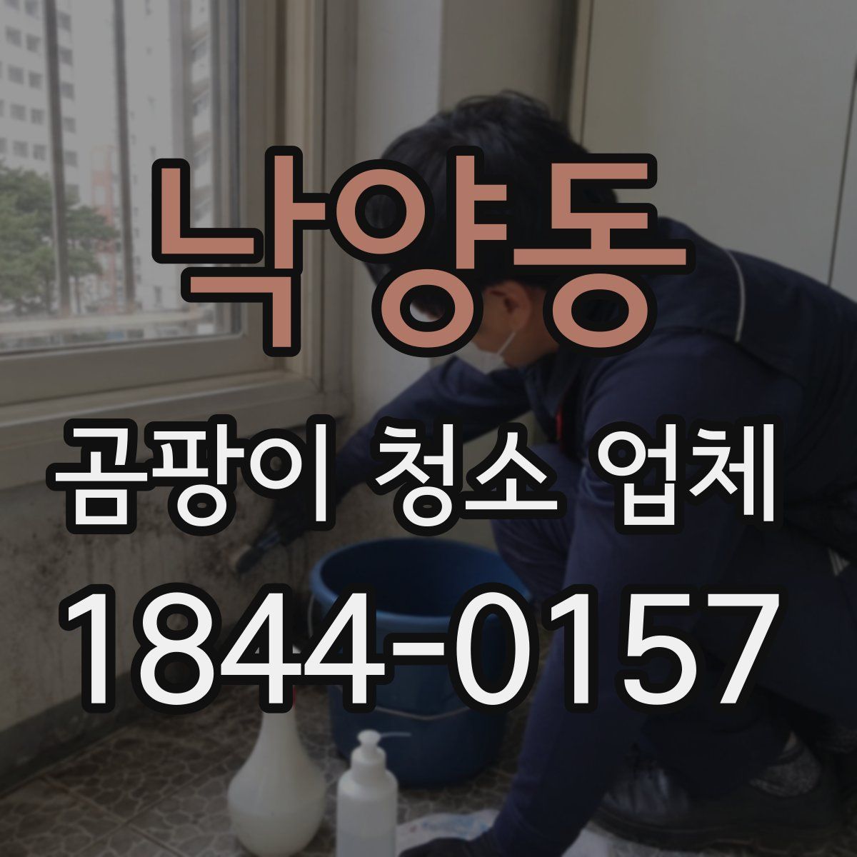 낙양동 곰팡이 청소 업체
