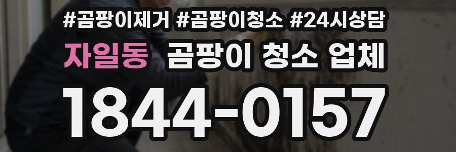 자일동 곰팡이 청소 업체