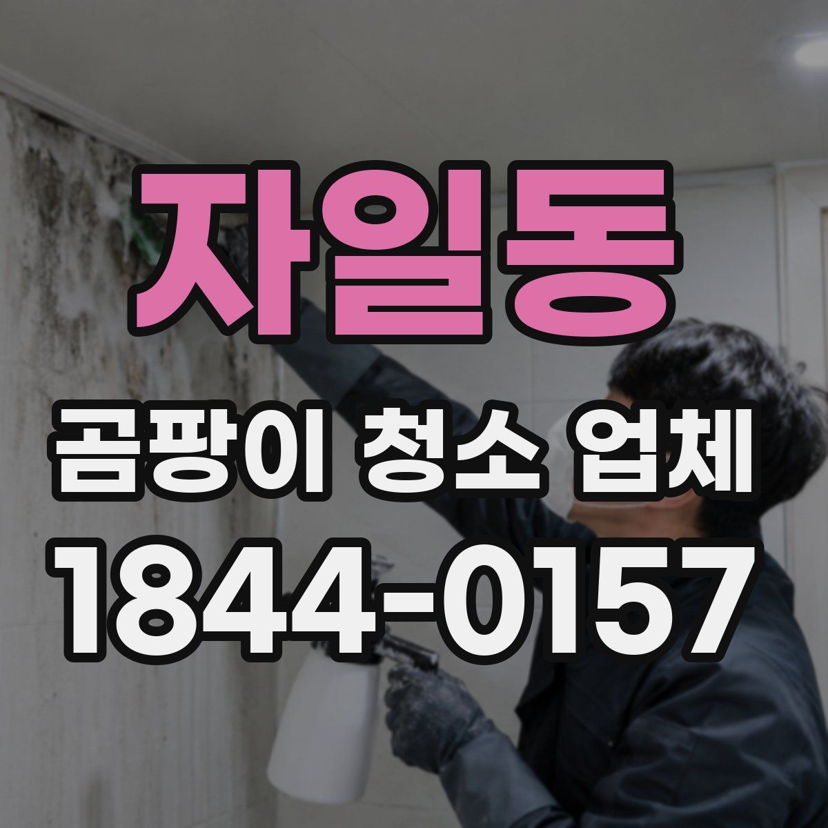 자일동 곰팡이 청소 업체