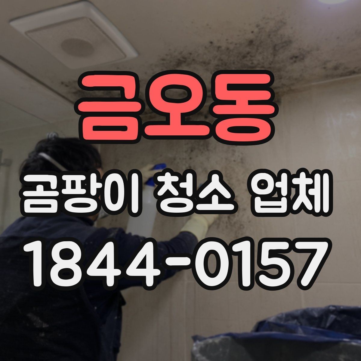 금오동 곰팡이 청소 업체 청소 뒤 건조와 환기 기준은 어떻게 보나