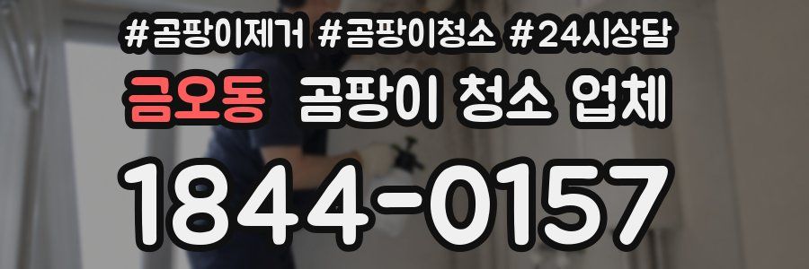 금오동 곰팡이 청소 업체