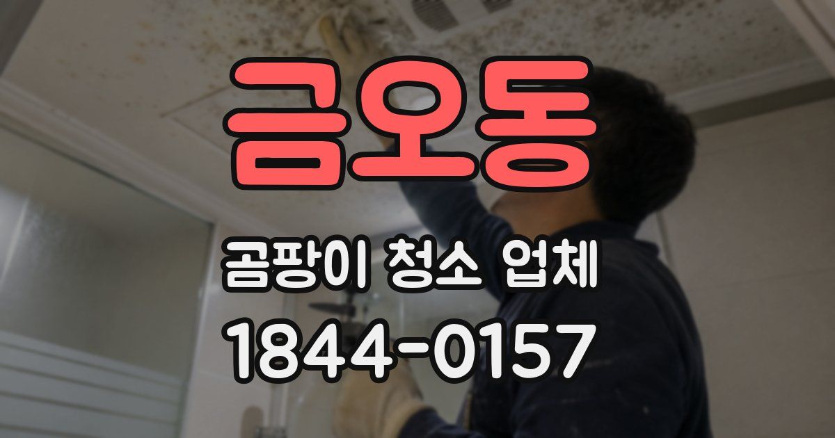 금오동 곰팡이 청소 업체