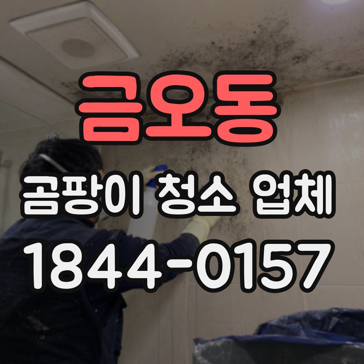 금오동 곰팡이 청소 업체