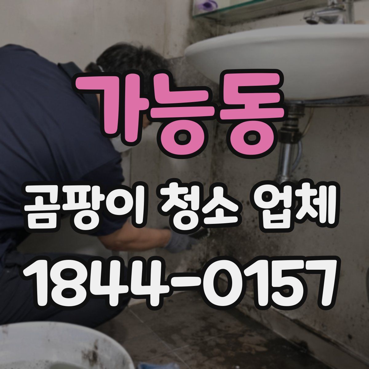 가능동 곰팡이 청소 업체
