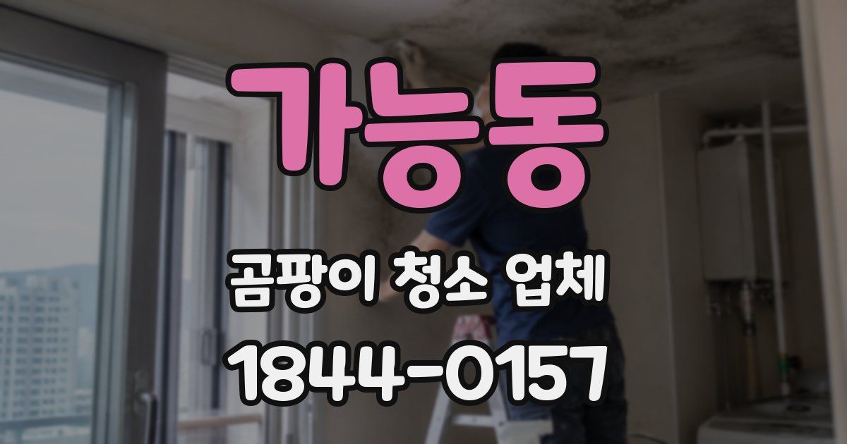 가능동 곰팡이 청소 업체