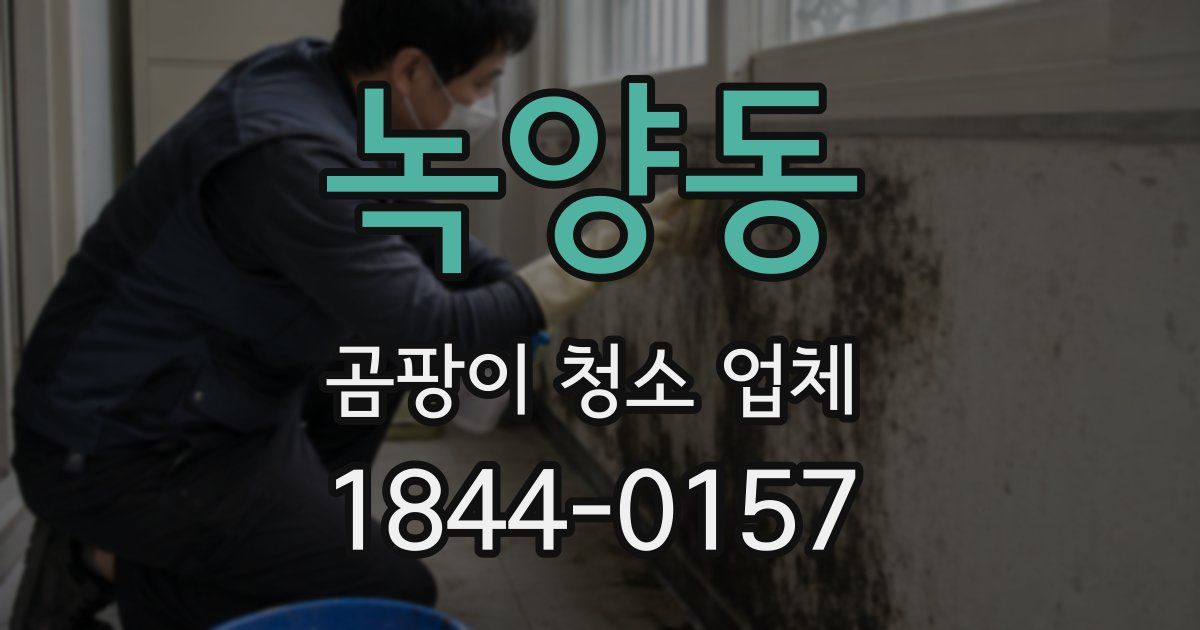녹양동 곰팡이 청소 업체