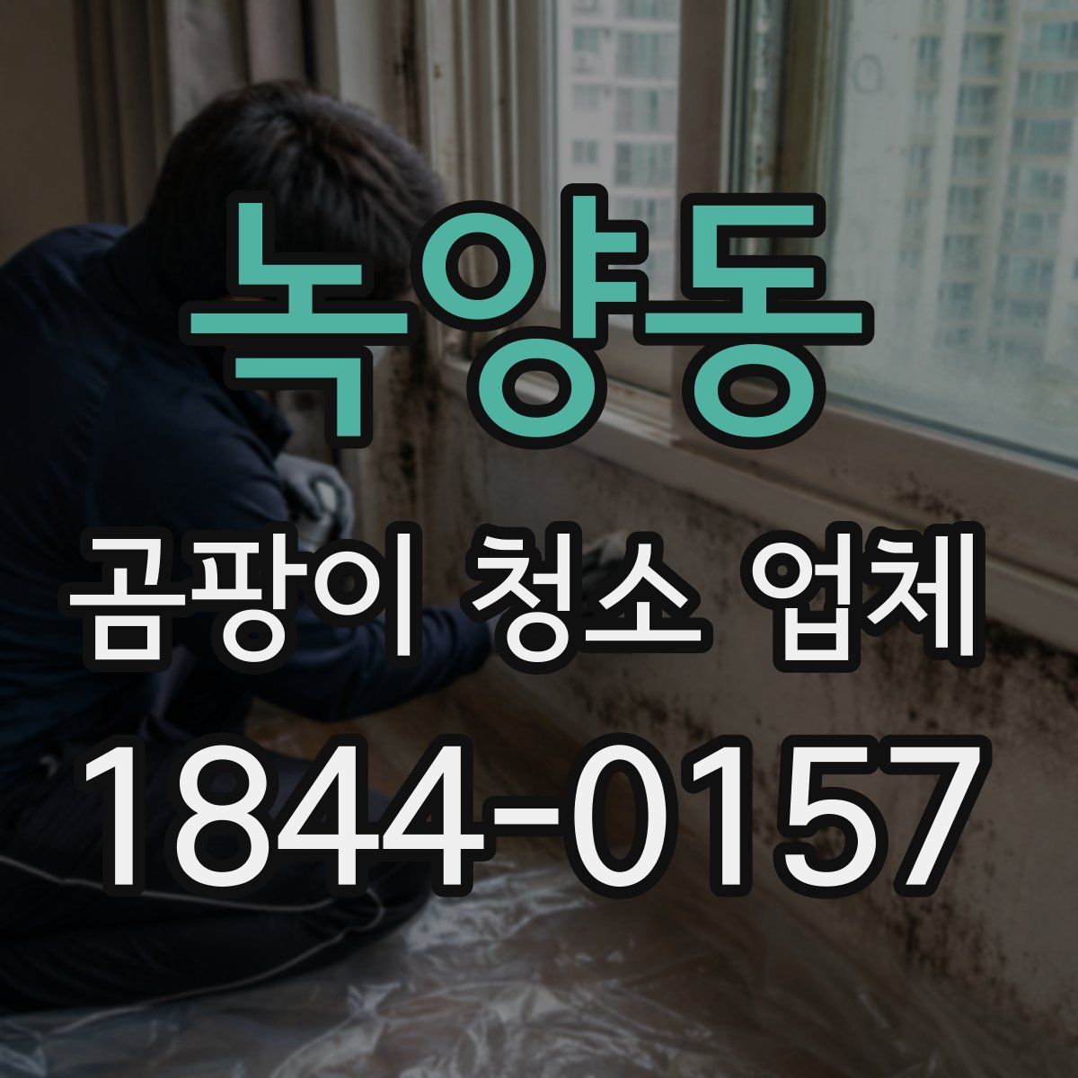 녹양동 곰팡이 청소 업체