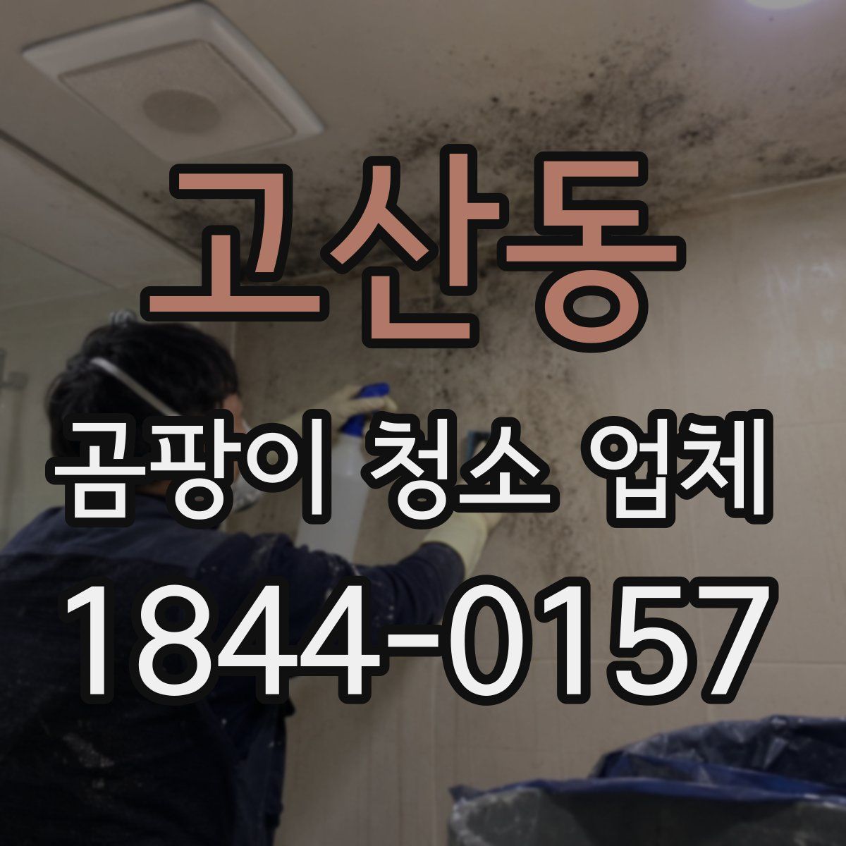 고산동 곰팡이 청소 업체