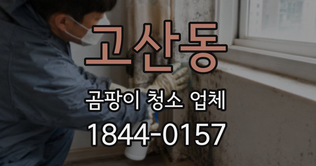 고산동 곰팡이 청소 업체