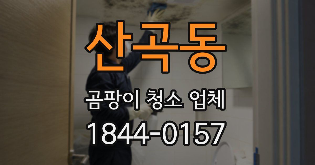 산곡동 곰팡이 청소 업체