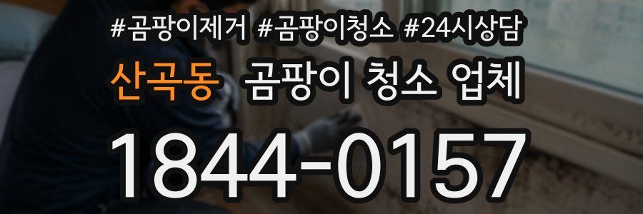 산곡동 곰팡이 청소 업체