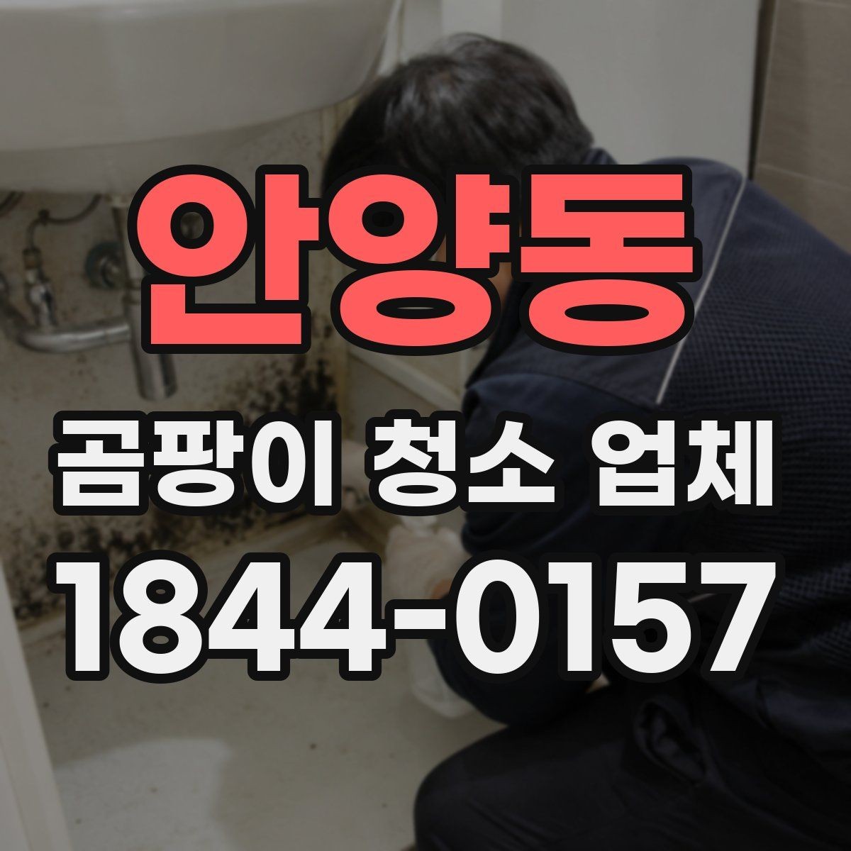 안양동 곰팡이 청소 업체 번식 환경을 막는 실내 습도 관리법