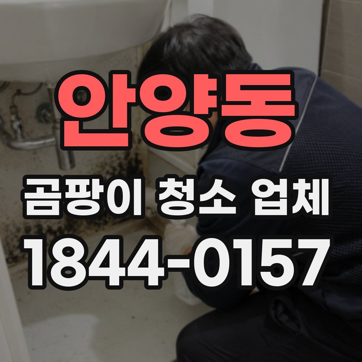 안양동 곰팡이 청소 업체