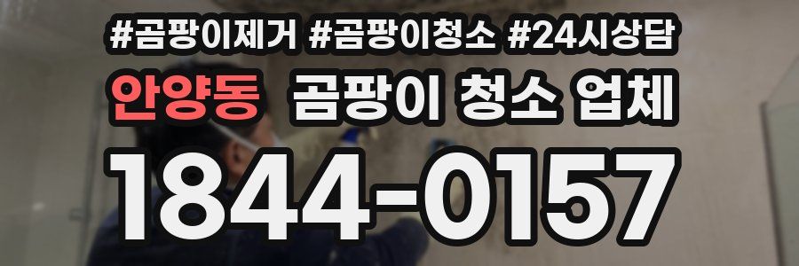 안양동 곰팡이 청소 업체