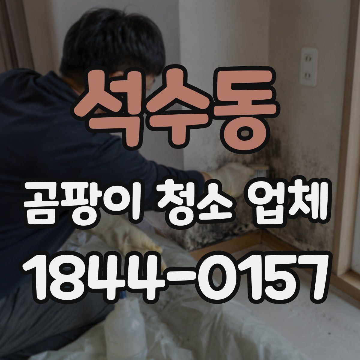 석수동 곰팡이 청소 업체