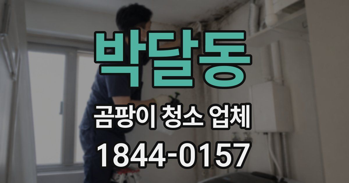 박달동 곰팡이 청소 업체