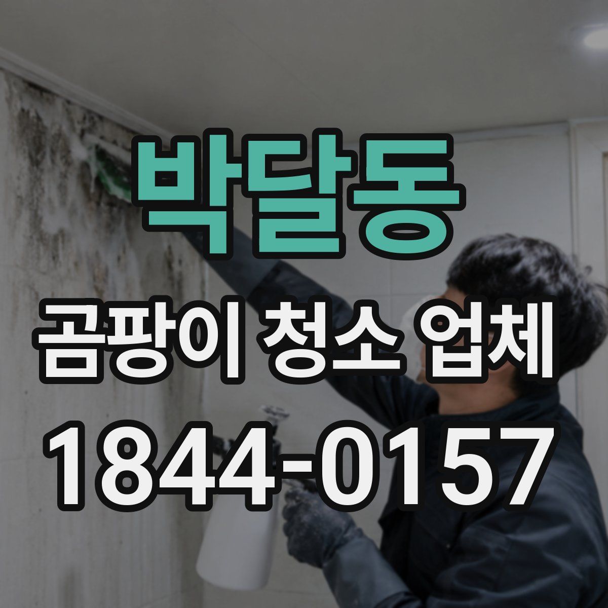박달동 곰팡이 청소 업체