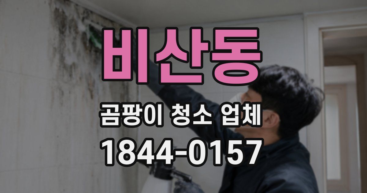 비산동 곰팡이 청소 업체