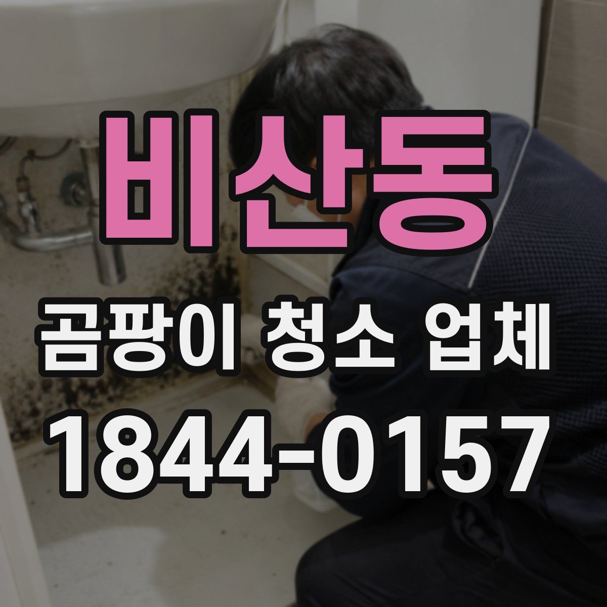 비산동 곰팡이 청소 업체