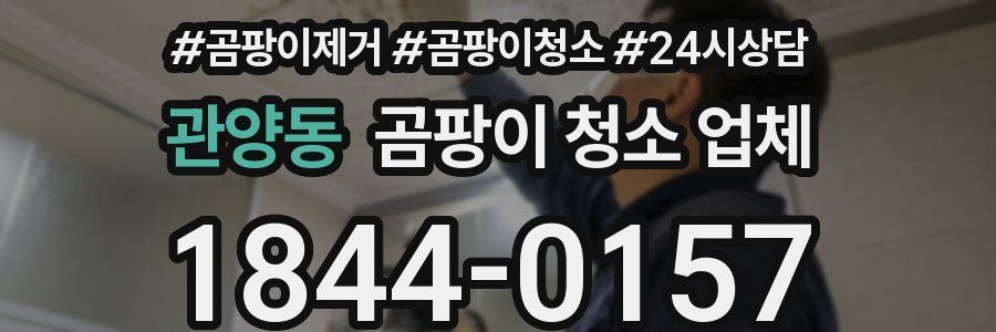 관양동 곰팡이 청소 업체