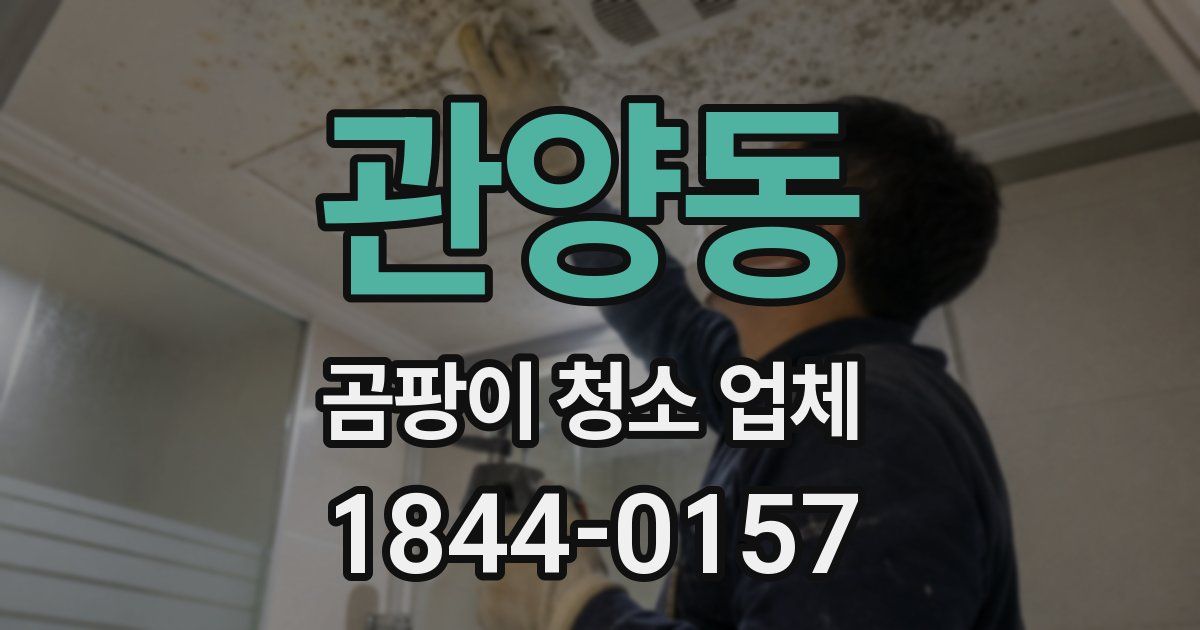 관양동 곰팡이 청소 업체