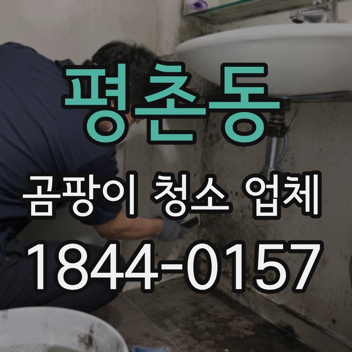 평촌동 곰팡이 청소 업체 벽지와 실리콘은 이렇게 다릅니다 제거가 다른 이유