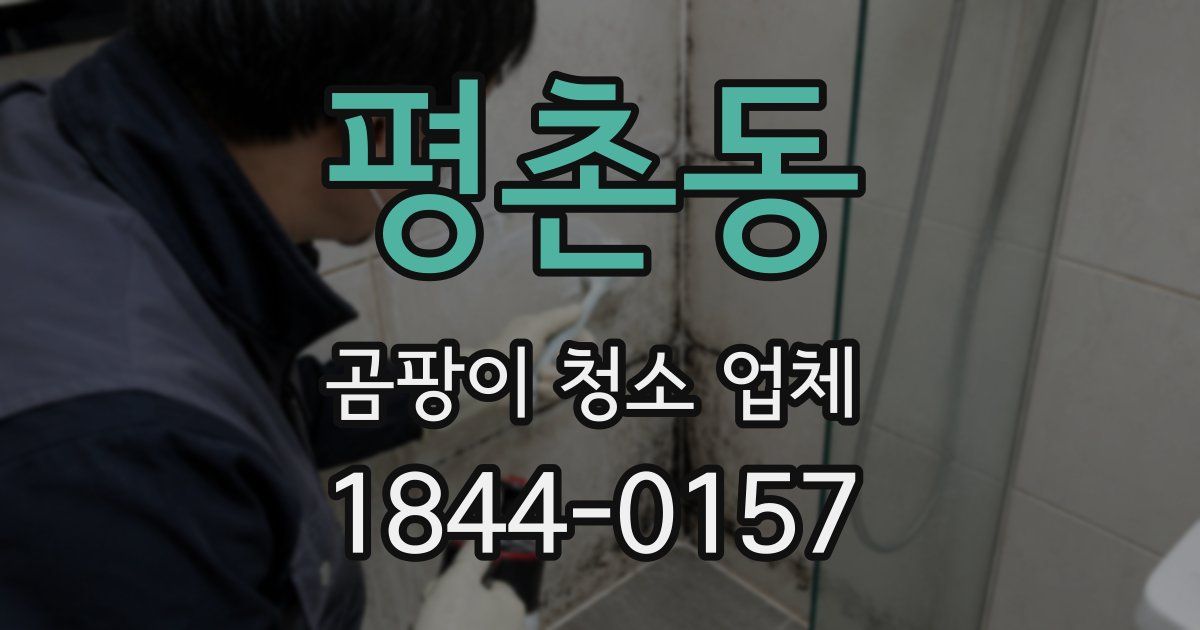 평촌동 곰팡이 청소 업체
